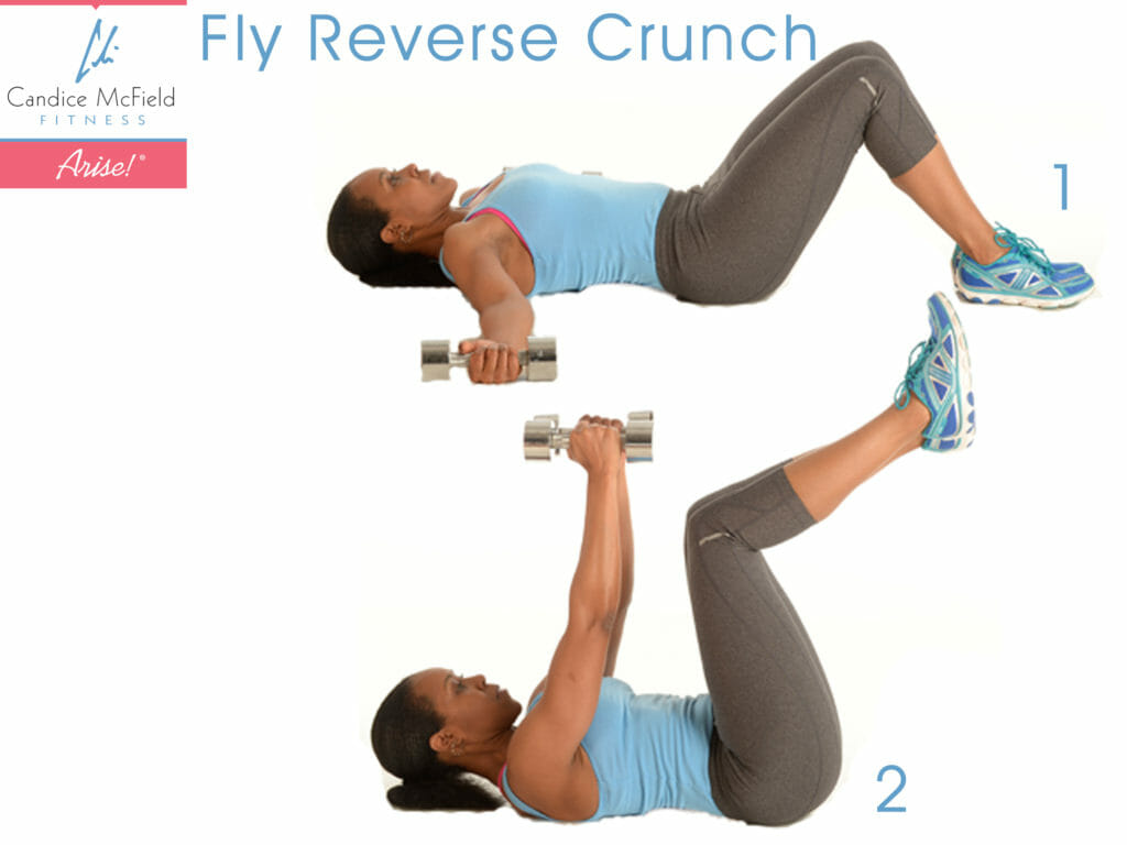 fly-reverse-crunch